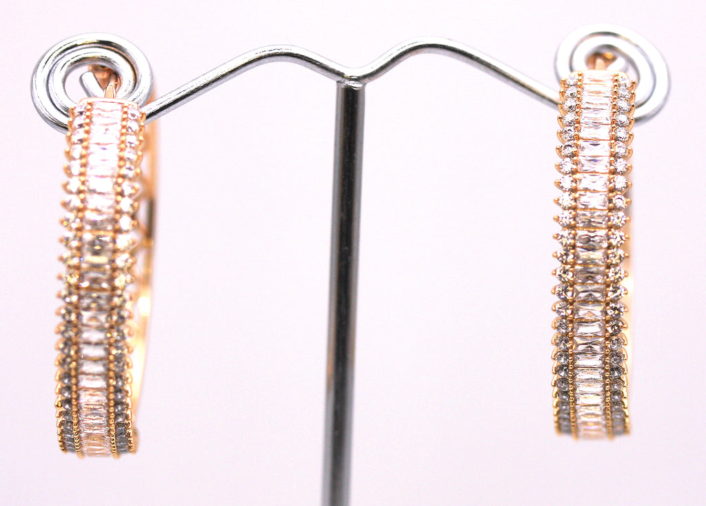 Earrings - XPH - 13